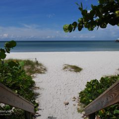 Florida Naples Beach
