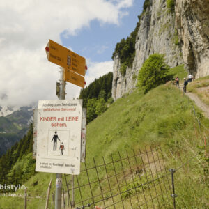 Appenzeller Land Schweiz Reisen Kinder an die Leine