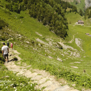 Appenzeller Land Schweiz Wanderweg Reisen